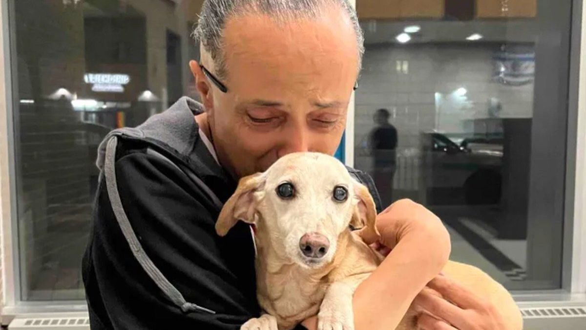 Un homme aveugle retrouve son chien d'assistance trois mois après son vol