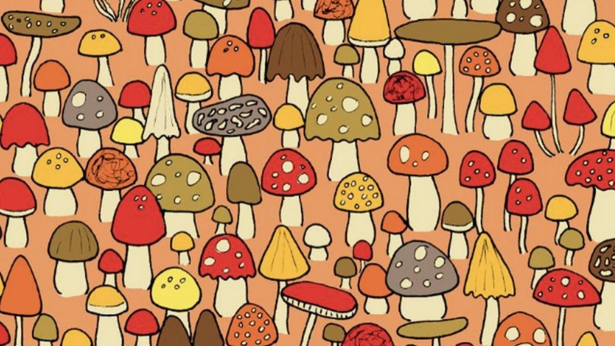 Vous n'arriverez pas à trouver la souris cachée sur cette image en moins de 12 secondes