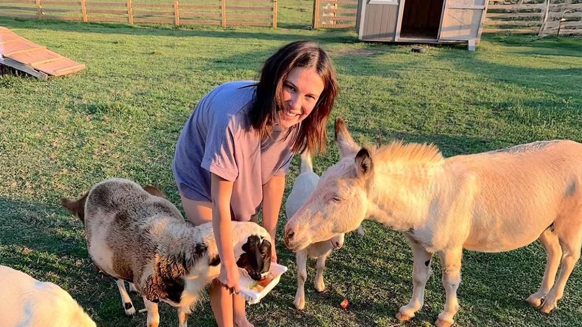 Millie Bobby Brown a créé un refuge pour animaux a déjà sauvé 230 chiens abandonnés